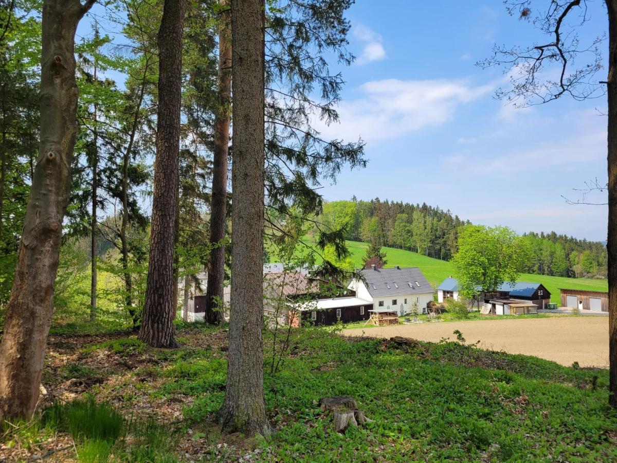 Ruhig Gelegene, Top Moderne Ferienwohnung - Hot Tub Und Sauna Gegen Aufpreis Neuhaus an Der Eger Extérieur photo