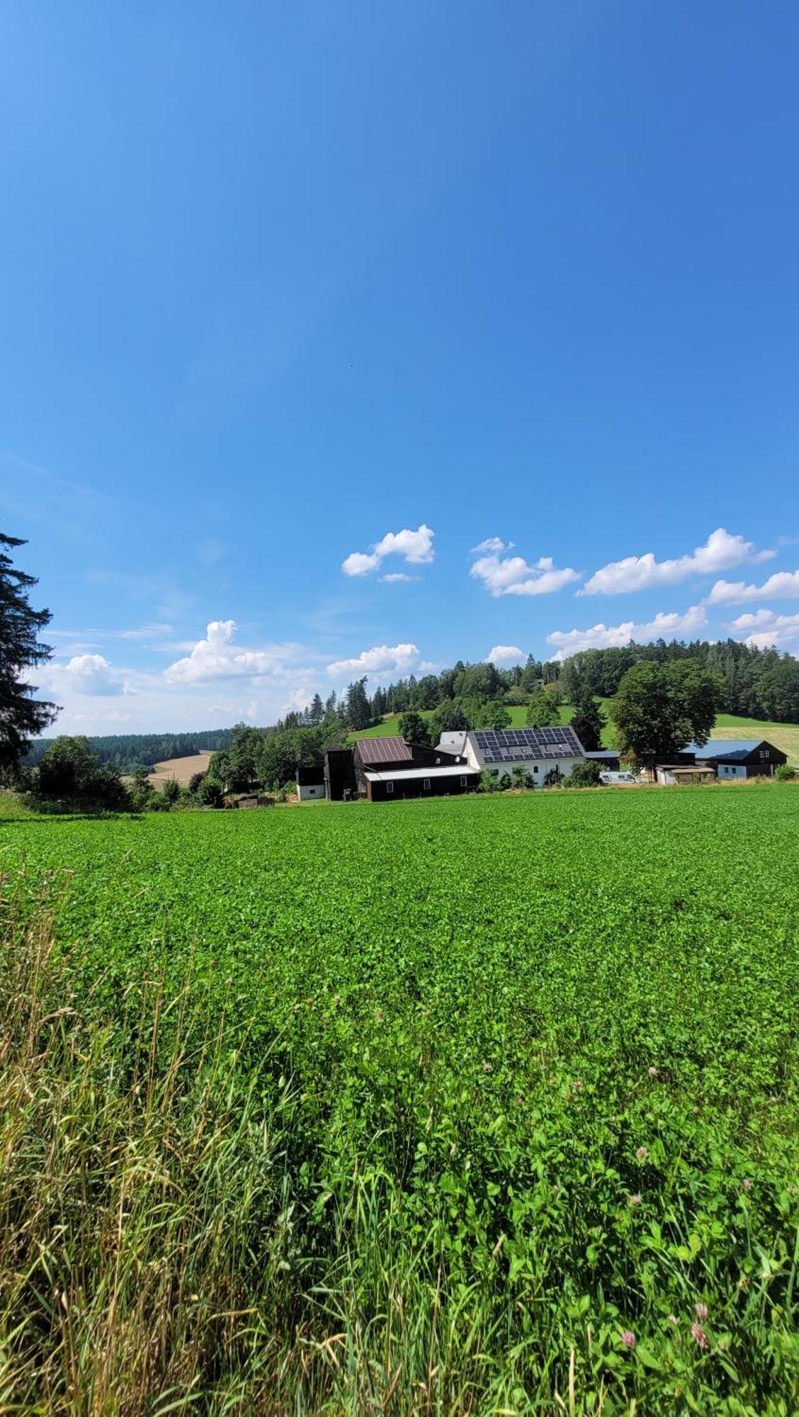 Ruhig Gelegene, Top Moderne Ferienwohnung - Hot Tub Und Sauna Gegen Aufpreis Neuhaus an Der Eger Extérieur photo