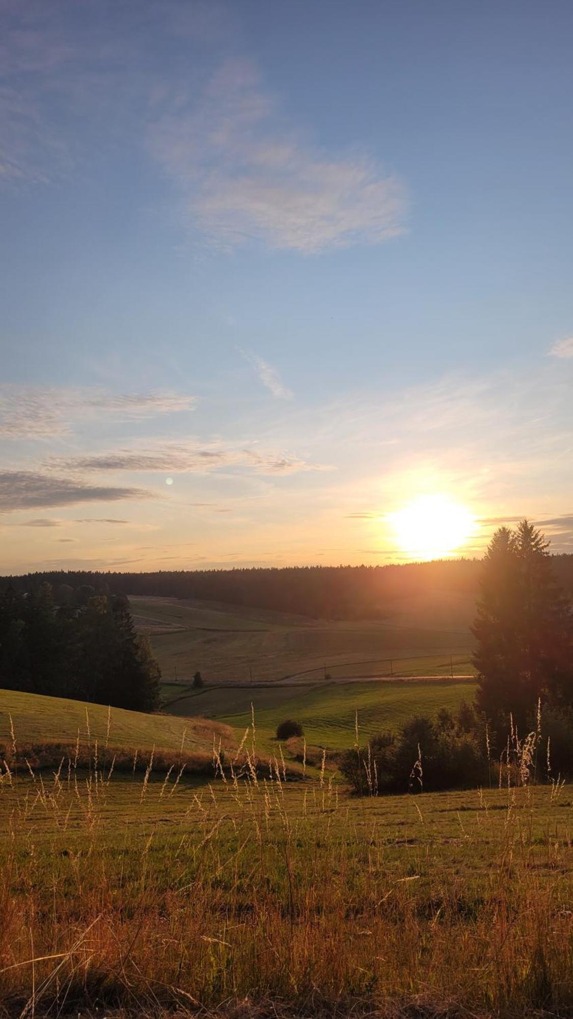Ruhig Gelegene, Top Moderne Ferienwohnung - Hot Tub Und Sauna Gegen Aufpreis Neuhaus an Der Eger Extérieur photo